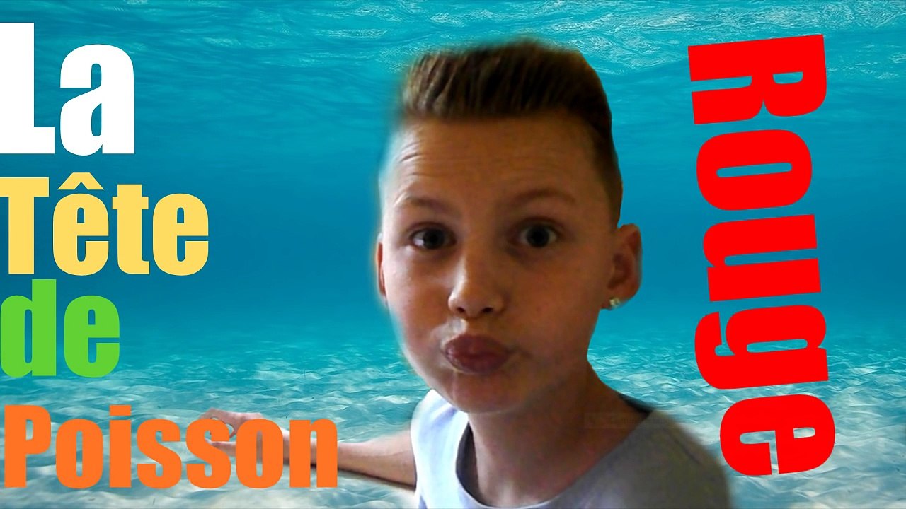 F.A.Q 2 - SPECIAL 2 000 ABONNES !