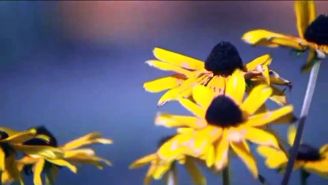 Driver Accused of Running Over, Killing Teen After Fender Bender