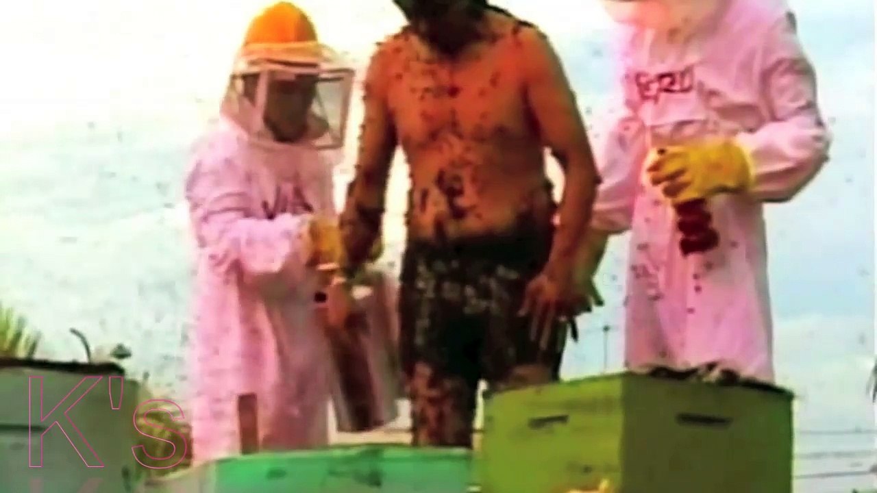 Man vs Wild 30min compilation prt1
