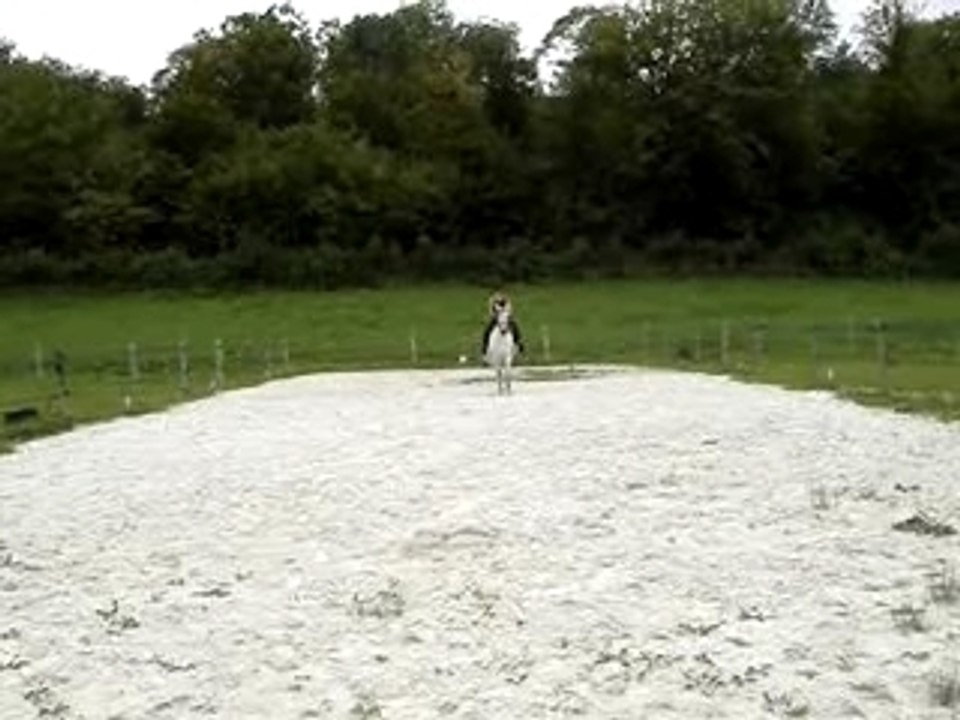 Arret equitation