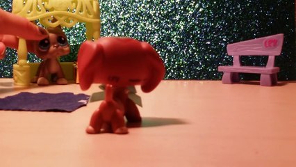 The Gift's Purpose (A Valentines Day Special)