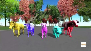 Wild animals Finger Family 3D Animation - Colors animals cartoon Finger family Rhymes for Kids