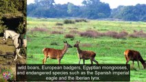 Top Tourist Attractions Places To Visit In Spain | El Escorial Destination Spot - Tourism in Spain