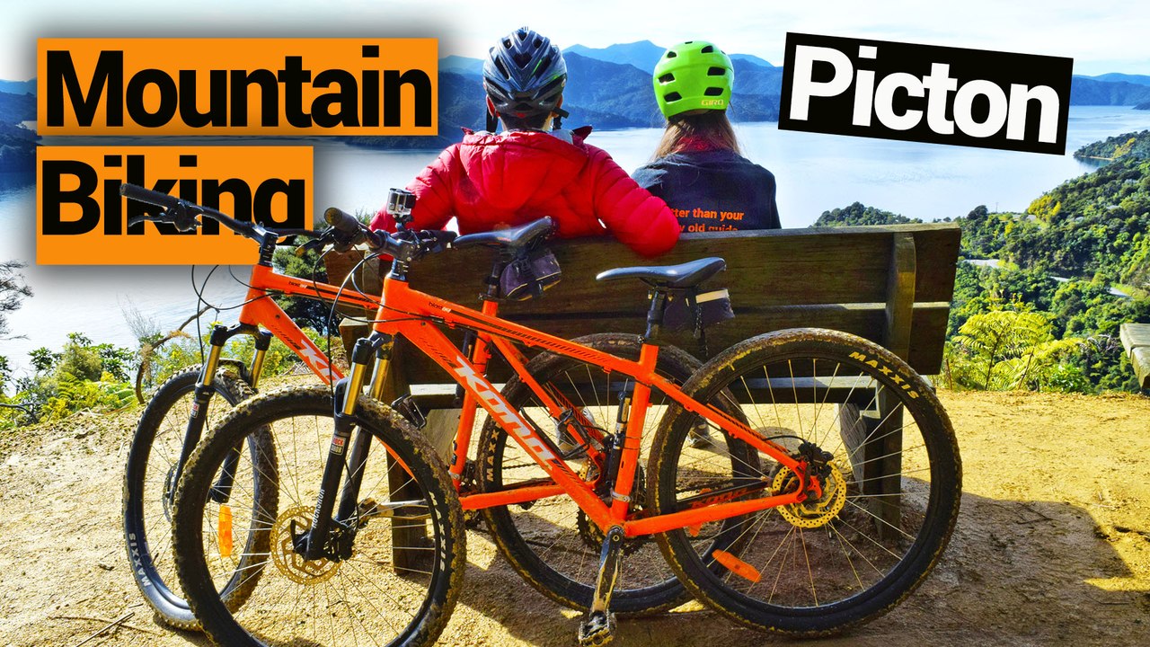 Mountain Biking in Picton  - New Zealand's Biggest Gap Year – Backpacker Guide New Zealand
