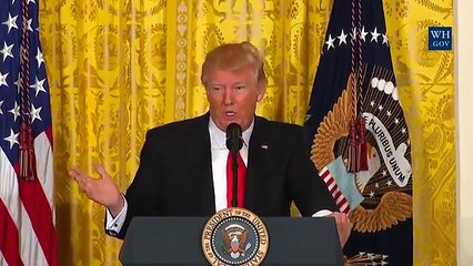 Donald Trump #FakeNews - REMIX