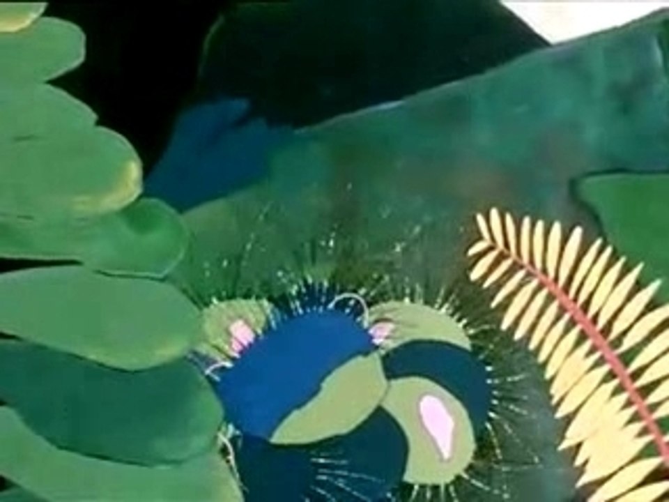 DVD : Contes Persans (Extrait)