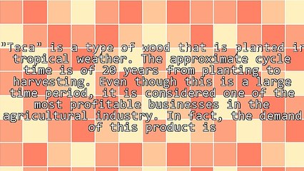 Why Investing in Long-Term Wood Plantations Is a Good Idea