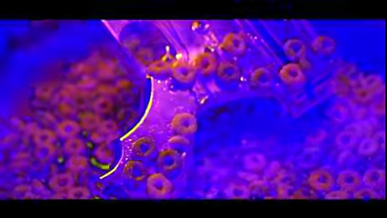 JOSHI MIZU feat. BAUSA - FRESS MICH SATT