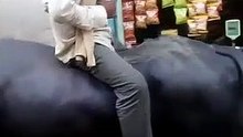 Sharabi chora