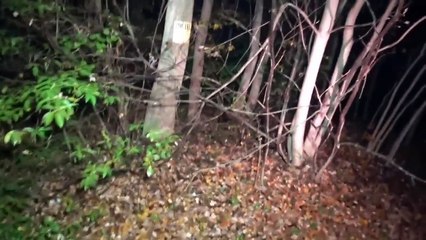 3AM OVERNIGHT (LOST on CLINTON ROAD) "It Happened"