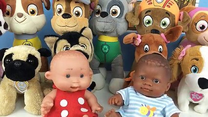 Patrulla canina juguetes español ¿NUEVOS BEBES PAW PATROL CACHORROS SON LOS PAPAS?