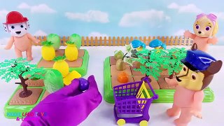 Pretend Play Fruit & Vegetable Garden Doc McStuffins Rescue Paw Patrol Baby Dolls Cooking & Eating