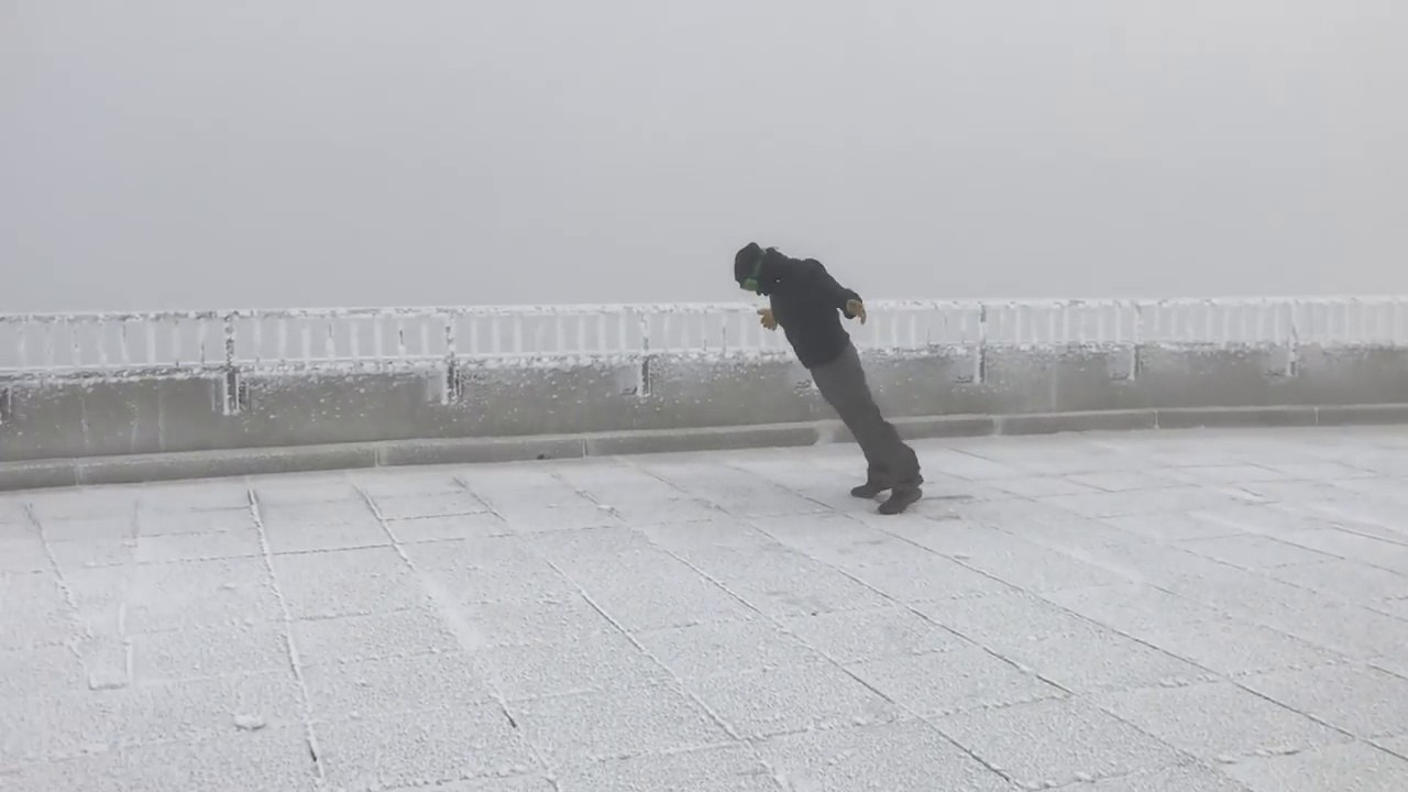 Il résiste debout à des vents de 170km/h !