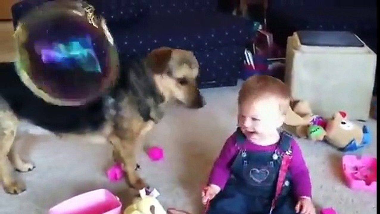 Un bébé sauvé par un chien... de bulles de savons !