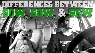The Differences Between Sow, Sow, & Sew : Homonyms, Homophones, & Homographs