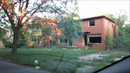 WESTSIDE DETROIT HOODS