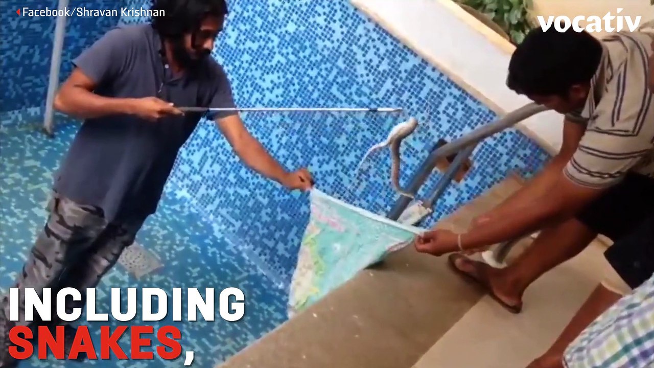 Animal Savior Rescues The Snakes, Bats and Hawks Everyone Else Fears