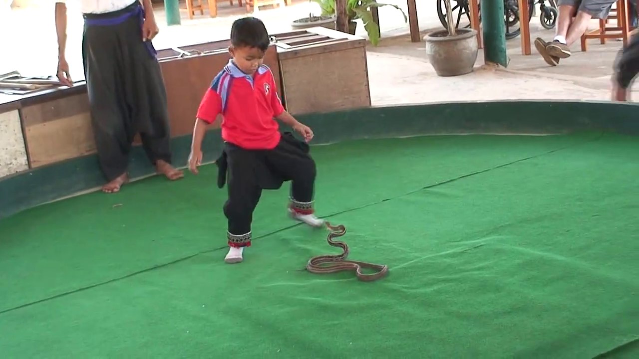 Baby snake charmer