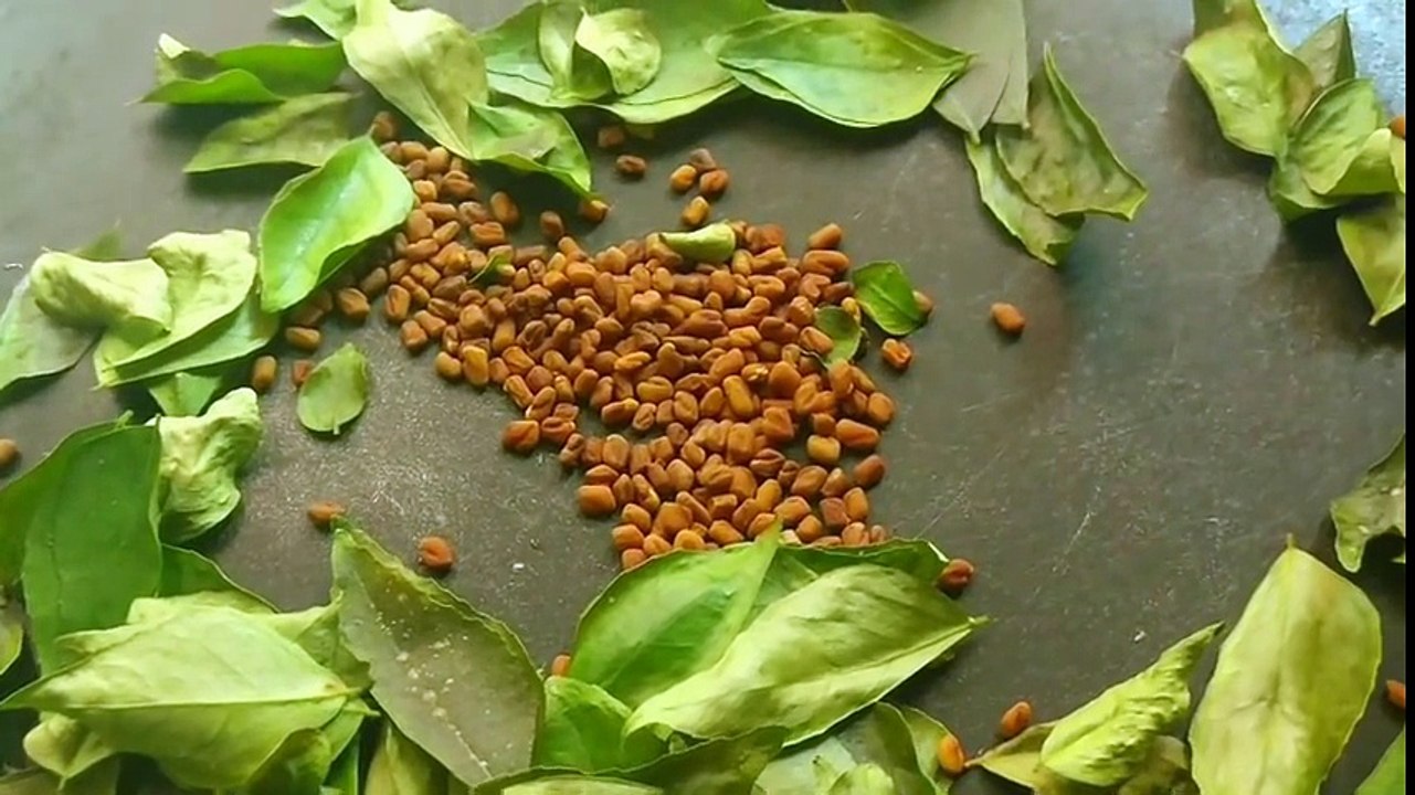 Homemade Curry Leaves Oil to Grow Long Thick Hair fast with Fenugreek Seeds & Coconut Oil