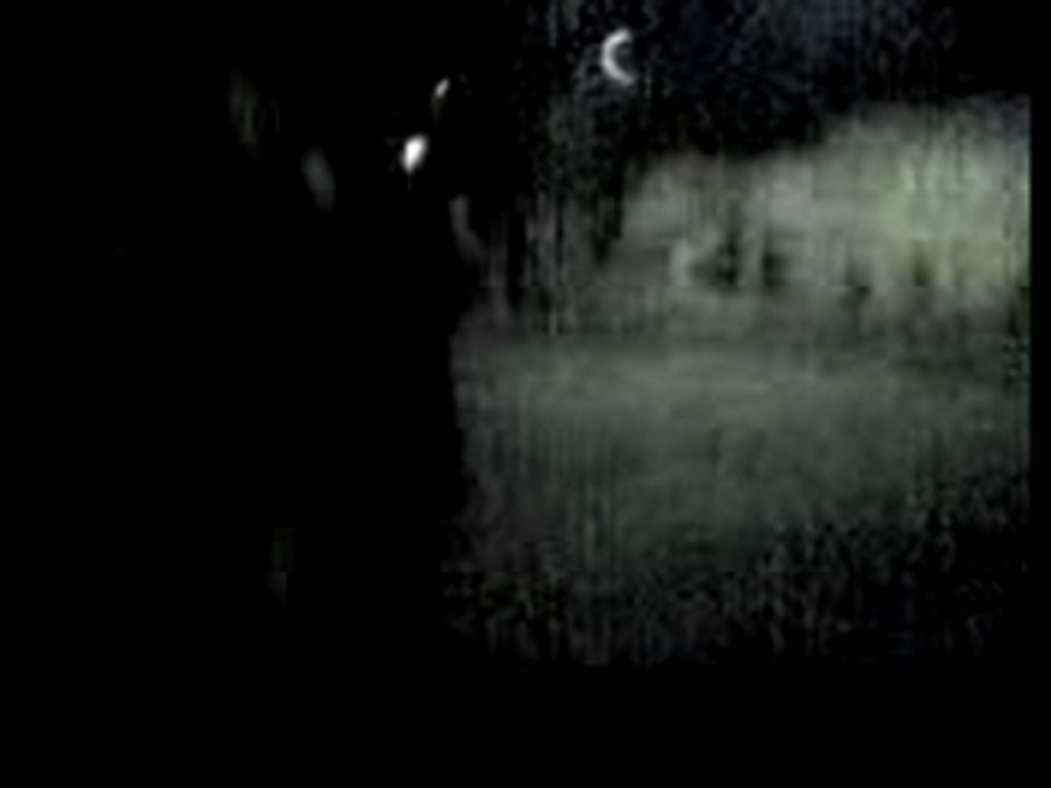 Vidéo103