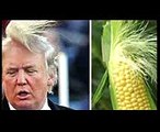 ⛔️ CRAZY PRESIDENT DONALD TRUMP PICTURES  FUNNY PHOTOS & MOMENTS  NEW 2016