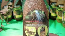 Dinosaurs Egg ,10 Jurassic Eggs _ TYRANNOSAURUS REX,VELOCIRAPTOR,PROTOCERATOPS..