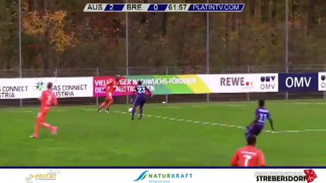 Austria 2:1 Dinamo Brest (Friendly Match. 10 November 2017)