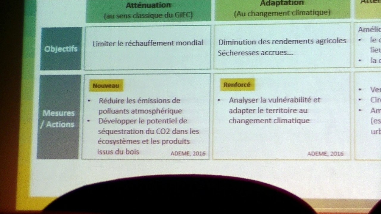 Nathalie De Noblet au Plan Climat Air Energie Territorial, Paris-Saclay, le 9 novembre 2017