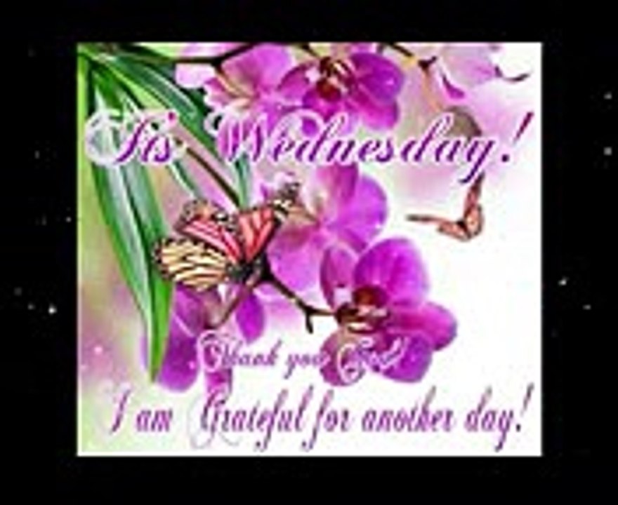 Inspirational Happy Wednesday Morning Images Quotes  with funny images