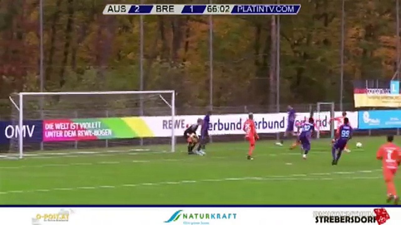 Austria 2:2 Dinamo Brest (Friendly Match. 10 November 2017)