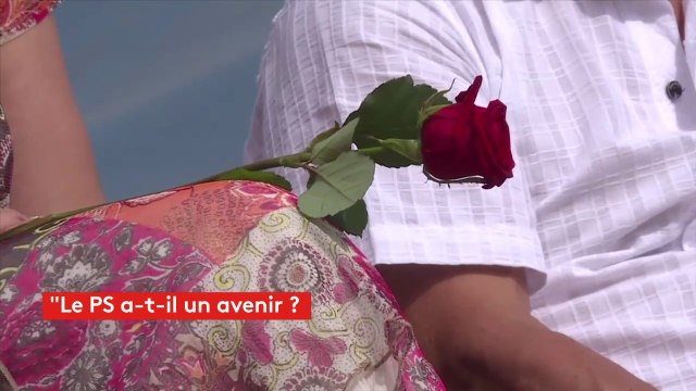 Questions Politiques : le Zapping de la semaine