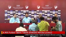 A Milli Futbol Takımı Teknik Direktörü Mircea Lucescu
