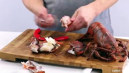 10 Kitchen Gadgets Put to the Test