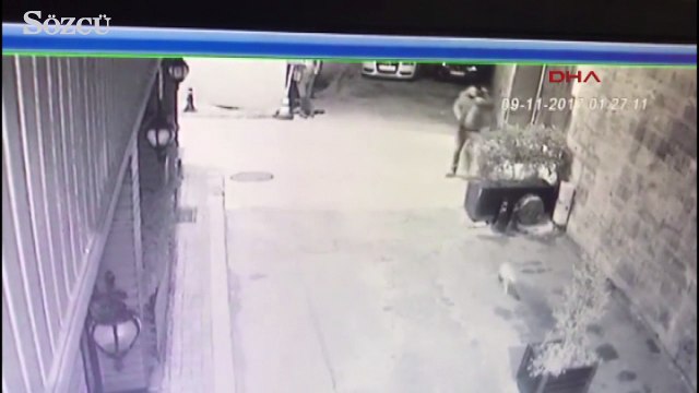 Kediye ateş ederken güvenlik kameraları böyle görüntüledi