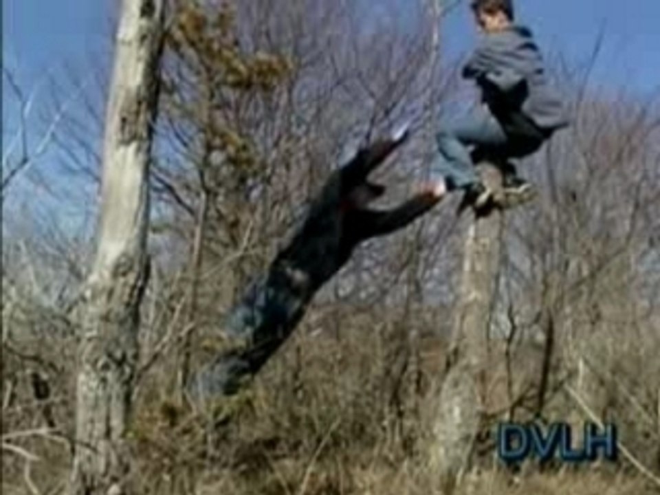 DVLH DVD trailer