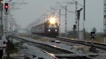 Ecrasé par un train, ce chien provoque des étincelles sur les rails en Russie !