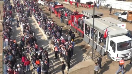 Boğa Güreşleri Türkiye Şampiyonası Renkli Görüntülere Sahne Oldu