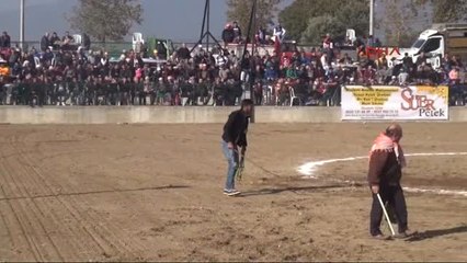 Aydın Ege ve Karadeniz'in Şampiyon Boğaları Aydın'da Mücadale Etti