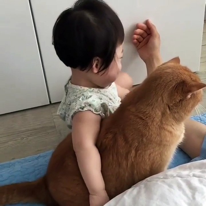 Funny Moment Child and Cute Cat | Vera Kitty 2017