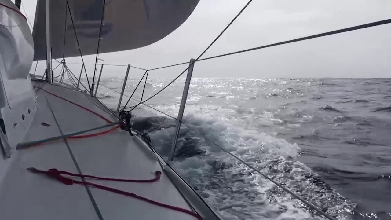 TJV2017 - Newrest - Brioche Pasquier - Fabrice Amedeo et Giancarlo Pedote - 12/11/2017