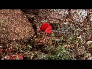 Murat Yılmazyıldırım - Bulmaca (Official Video)