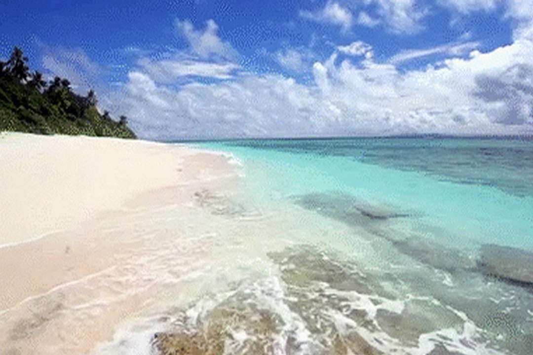 Zeki Müren - - Gönlüm yaralı bilmiyorum yar bana n'oldu