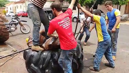 Capas para Pneus Agrícolas
