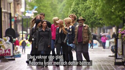 Allt för Sverige 2017 Episode 4