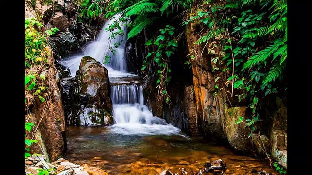 Arsin Çardaklı Köyü