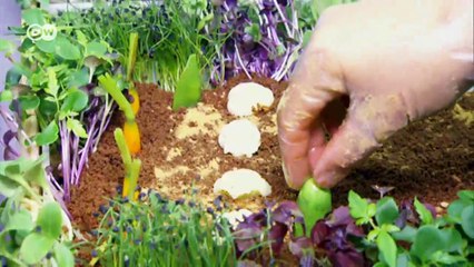 Un menú de 20 platos y 1.500 euros | Euromaxx