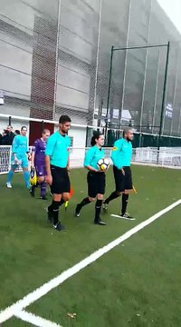 12/11/17 - TFC/Nîmes (D2F) - Les z'abeilles entrent sur le terrain avec les joueuses