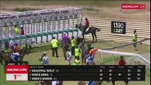 Jockey loses it and beats horse before race