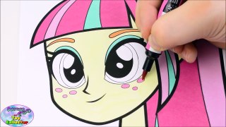 My Little Pony Coloring Book Equestria Girls Shadowbolts Episode Surprise Egg and Toy Collector SETC