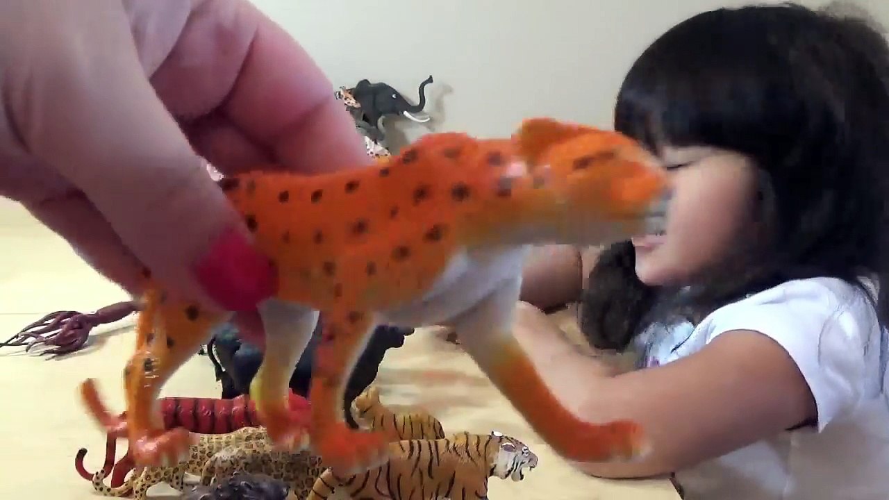 My Animal Toy Collection in the Box Part 2 Schleich Safari Wildlife ZOO Farm Animals Toys